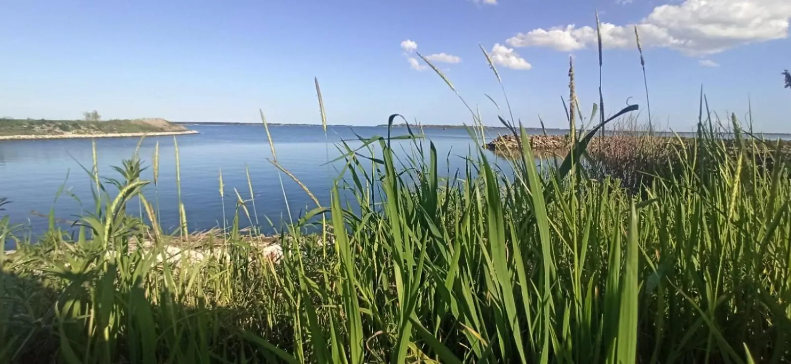 Casa Vacanze Nel Delta Del Po Taglio di Po
