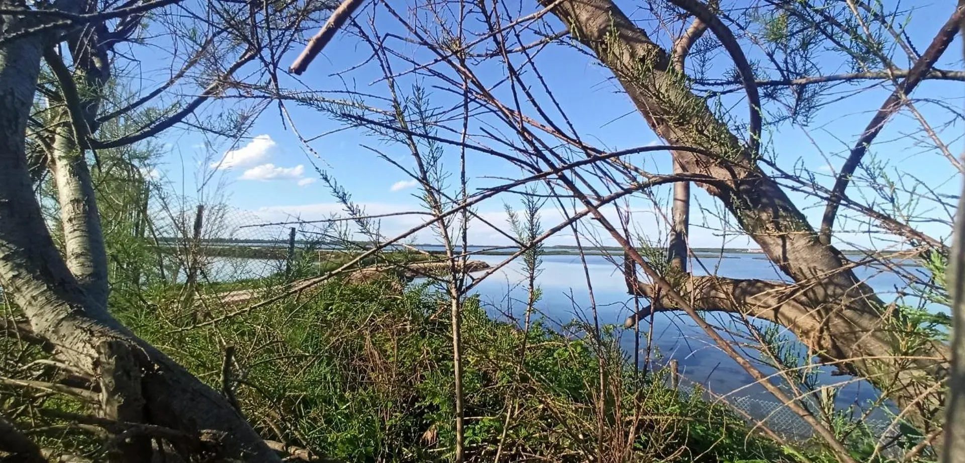 Appartamento Casa Vacanze Nel Delta Del Po Taglio di Po Italia